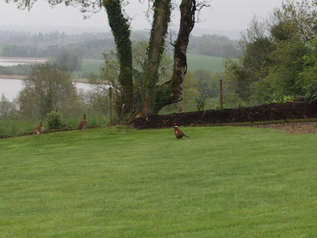 Willowbank House Enniskillen Exterior foto